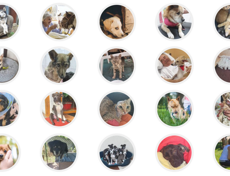 Nominace Jana Urbanová