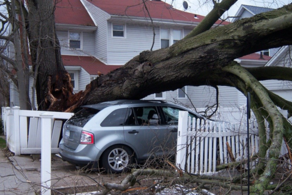 Jak postupovat, když vám vichřice poničí majetek