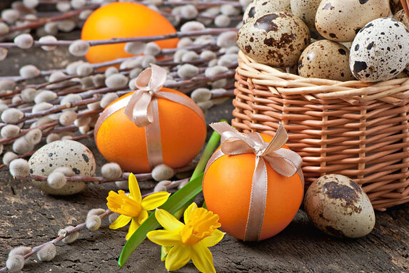 Velikonoční pomlázka a nečekané pojistné událost