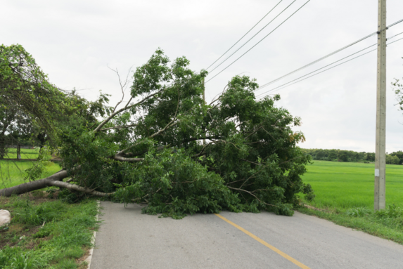 Silný vítr trápí Česko! Víte, co dělat, když vám poničí majetek?
